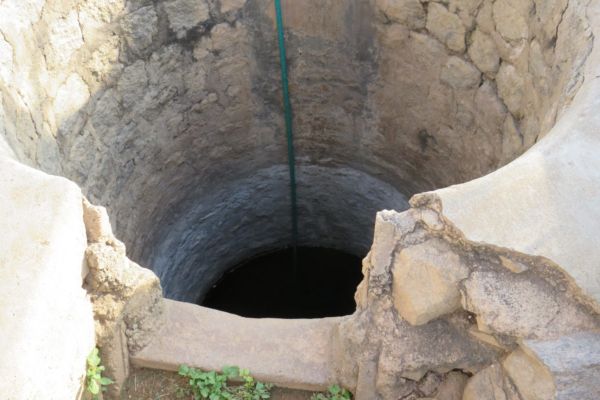 Spendenaufkommen „The Life to Share“